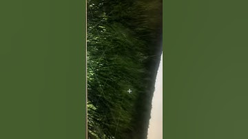 Adding grass on my level design in unreal engine 4