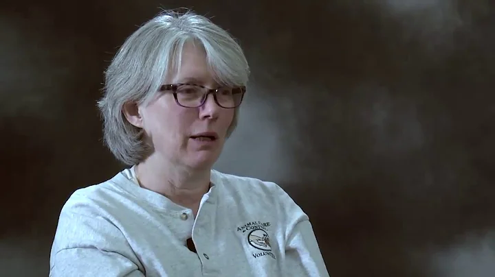 Jerri Martin - Volunteer Testimonial