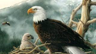 Hayden Byron Eagle Scout Court of Honor Slideshow 2015