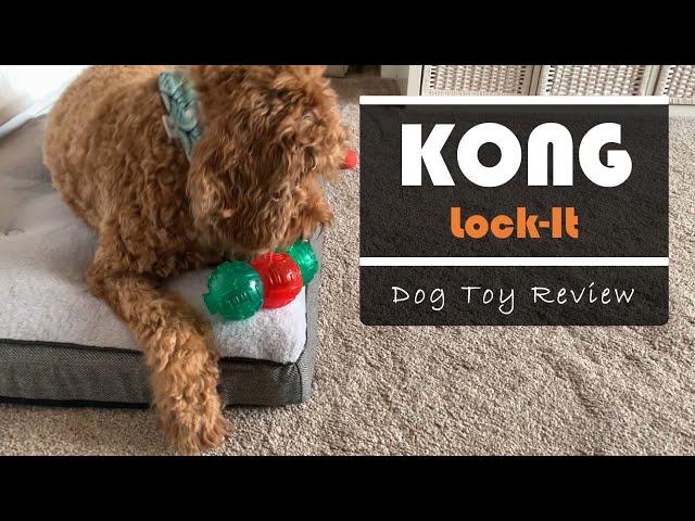 Kong Lock It Dog Toy Review You