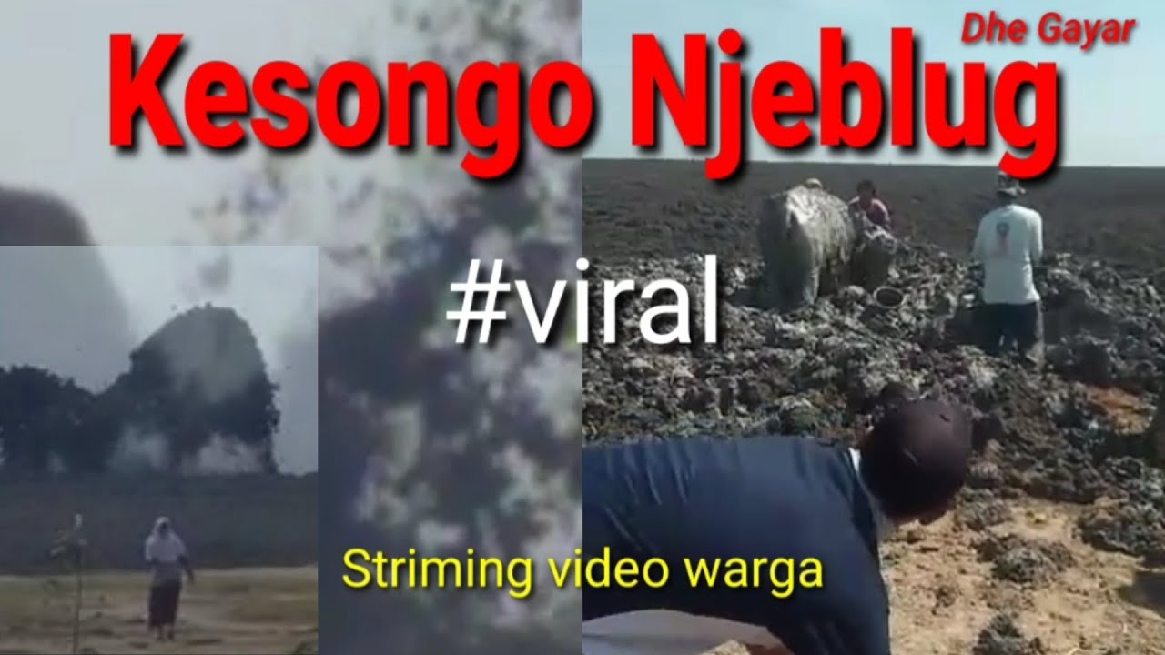 KESONGO NJEBLUG #viral#kesongoblora #mudvulcano#fenomenal