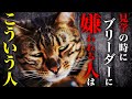 コレをブリーダーに言うと一発アウトです。ブリーダー見学の流れとコツをご紹介!