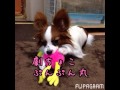 Flipagram - 7月 04, 2014