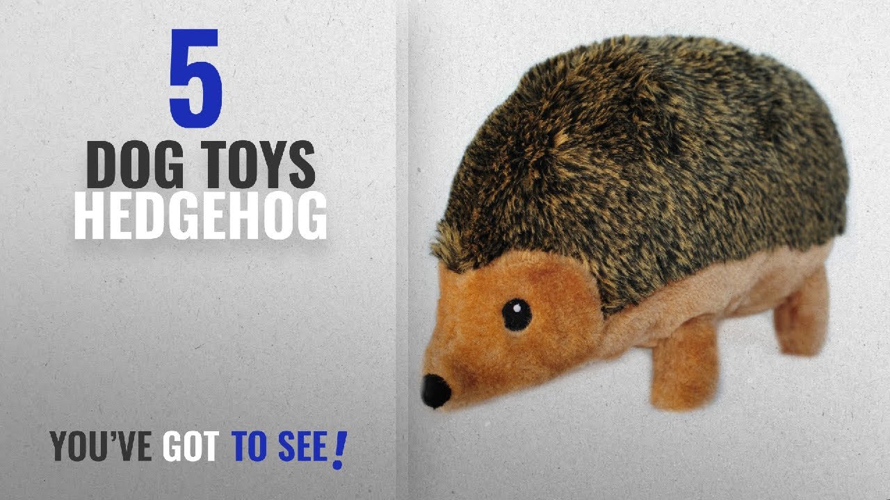 cats inn Top 5 Dog Toys Hedgehog [2018 Best Sellers]: ZippyPaws 12-Inch Hedgehog Squeaky Plush Dog Toy,