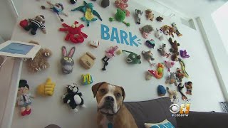 Bark Buddy App Helps You Find A Pet screenshot 5