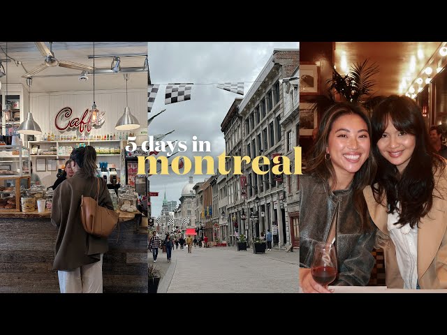 An American Visiting Montreal Tried Tim Hortons & She Totally Loved It  (VIDEO) - MTL Blog