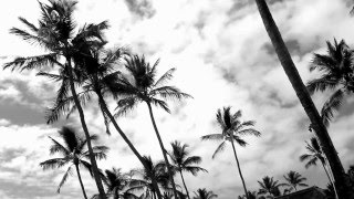 Jack Johnson - Radiate (Switch Dub Remix)