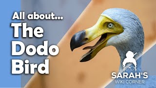 Sarah's Wiki Corner Podcast | 1/10/25 -  Dodo Bird