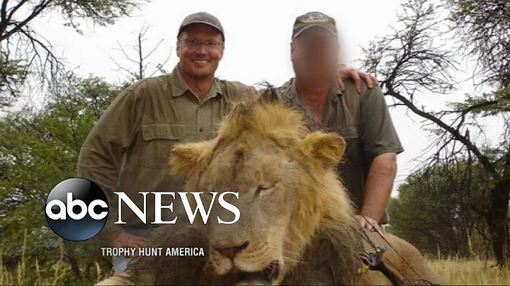Minnesota Dentist Acknowledges Killing Beloved Lio...