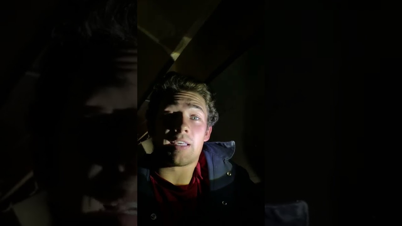 Termite Treatment in Crawlspace