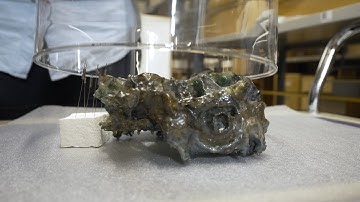 Smelly Plastics, museale objecten met een luchtje