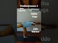 Virabhadrasana 2 Base Izquierda - Hatha Yoga ►Aldo Mansur◄