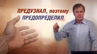 Предузнал, поэтому предопределил | Предопределение