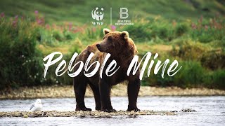 Pebble Mine, Alaska by Beautiful Destinations 44,493 views 3 years ago 6 minutes, 16 seconds