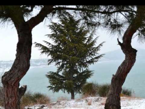 მხატვრული ფოტოები!