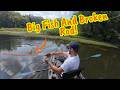Broken Dobyns Sierra Series Rod BFS Bass Fishing Broken Dobyns Sierra Series Rod BFS Bass Fishing