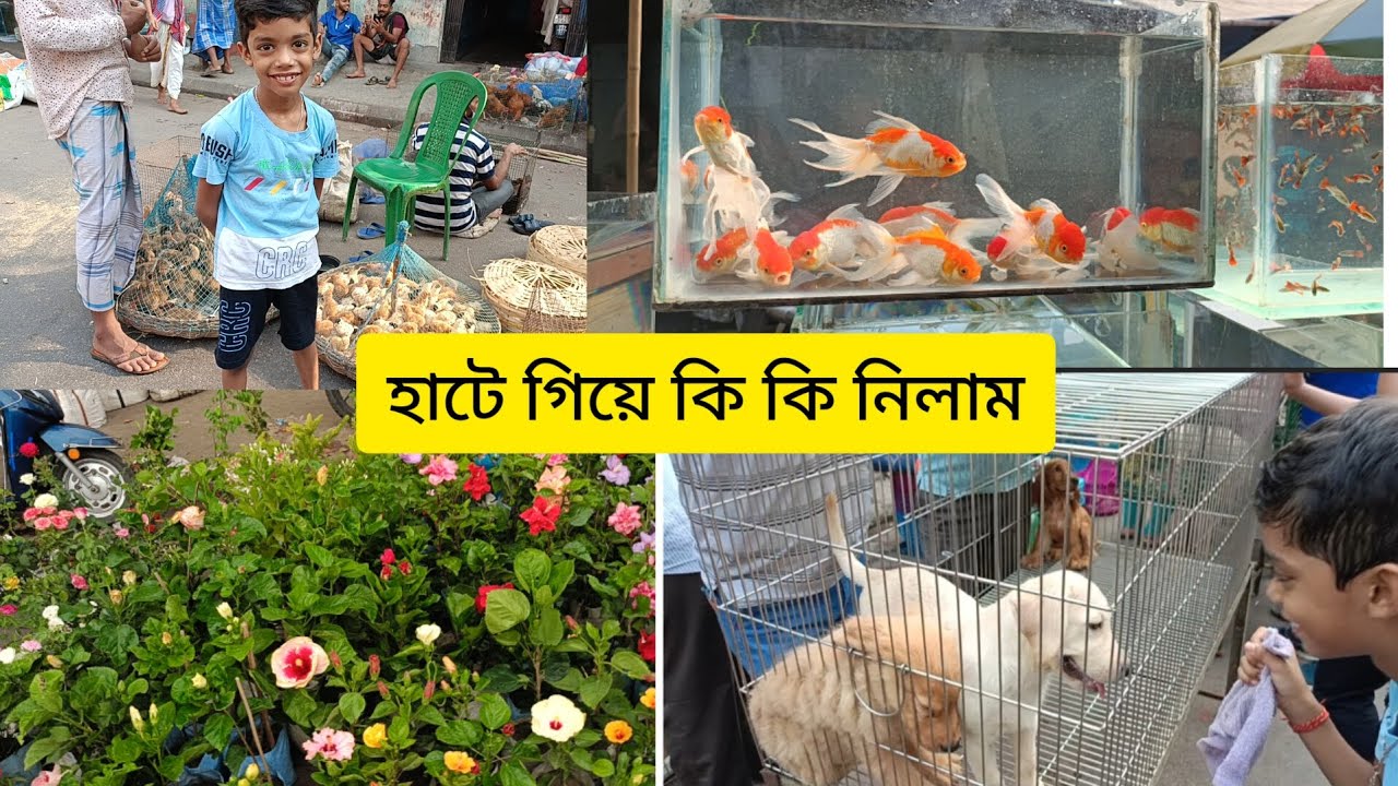 একই হাটে এতকিছু একসাথে। রিয়ান কি কি নিলো 