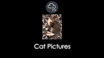 TryHackMe | Cat Pictures Room Walkthrough
