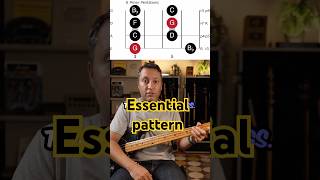 Brilliant Way To Practice Hammer Ons, Pull Offs & Ghost Notes on Bass