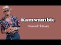 Diamond Platnumz Kamwambie Official Lyrics Video