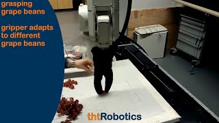 Adaptive Robotic Gripper. Grasping grape beans