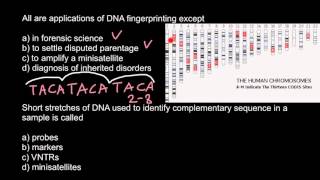 Celebrity DNA Probes, Markers, VNTRs, Minisatellites explained Profile