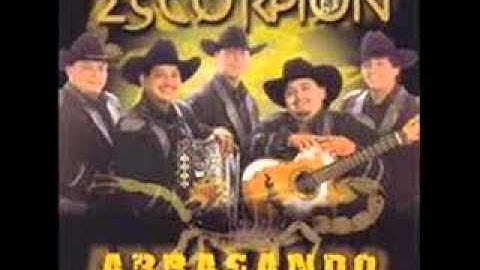 Escorpion  -   Como  Se  Mueve  El   Alacran.