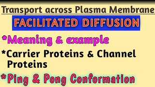 Facilitated Diffusion Ping Pong Model Ping Pong State Carrier Proteins & Channel Proteins