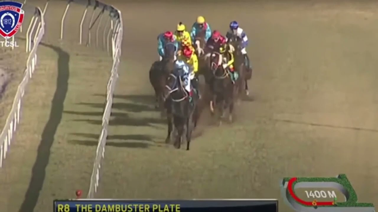 18eme journée - Race 8 - Hakeem