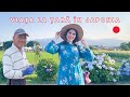 Cum e viața la țară în Japonia? M-am împrietenit cu un fermier
