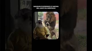 Vision And Spirituality Together.