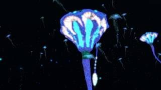 Deep Reality: Underwater VR Biofeedback Experience