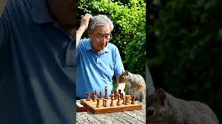 How to play chess #viralshorts