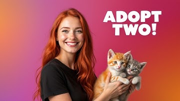 The Purrfect Pair: Why Two Kittens Are Better Than One! 🐱❤️