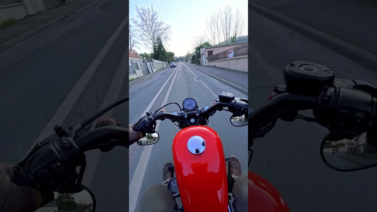 Forty-Eight | HD Orange in the Wild 