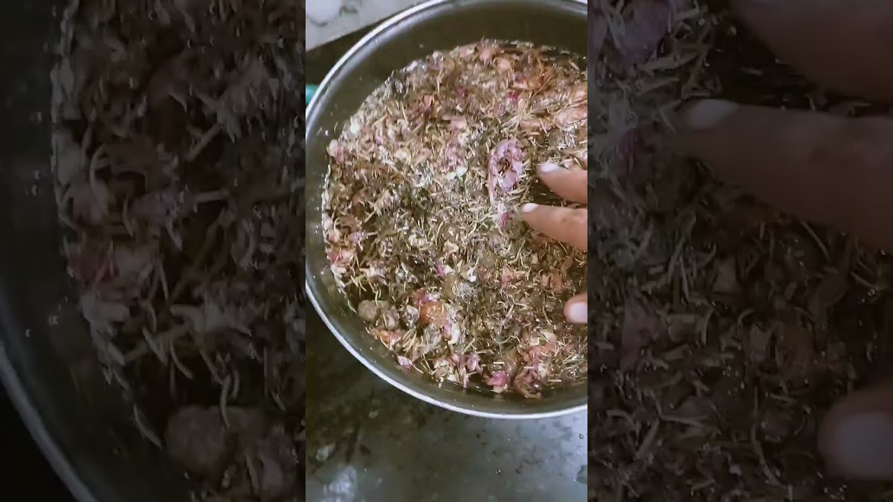 Harbal Shampoo Homemade 100% Organic Stops Hairfall in 15 Days | DIY Homemade Hai shampoo