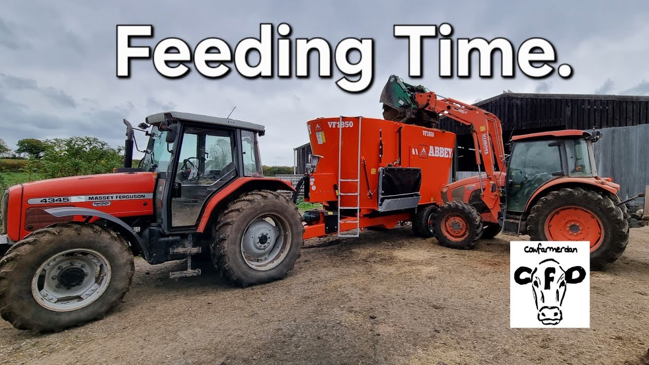 День новой машины, миксер Abbey.