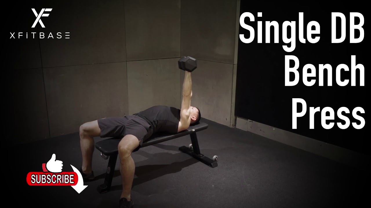 Single Dumbbell Bench Press | Xfitbase Exercise Demo - YouTube