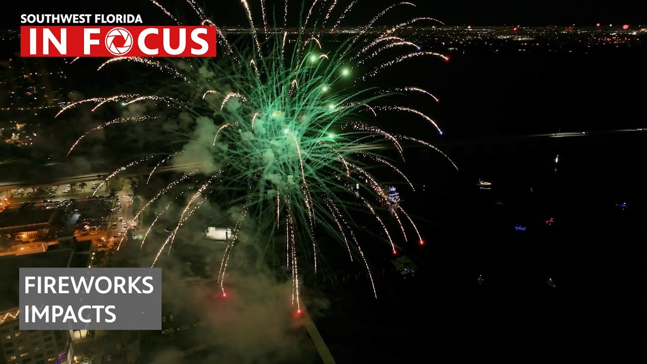Firework Impact on Southwest Florida | WGCU News