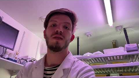 Zikmund Bartonicek - UCL GEE PhD Student