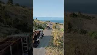 Car Crash  hd