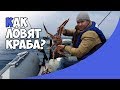 🦀Как ловят краба? | Репортаж из Владивостока