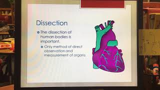 Informative Speech Powerpoint