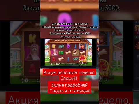 «ՈՒն 1: Անձնական խաղատան կազմամամաք 1win կազինում խաղելու հնարավորություն»