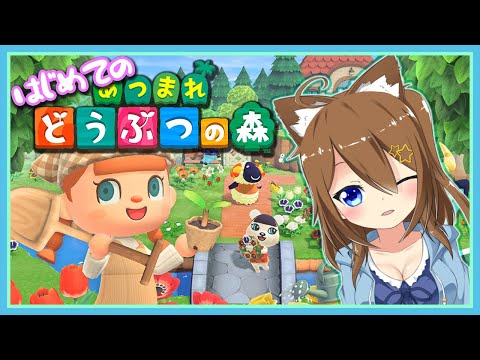 【あつまれどうぶつの森】はじめての無人島生活【あつ森】