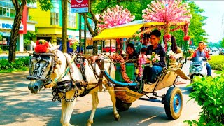 Naik Delman Istimewa~Lagu Anak Indonesia Populer~Lagu Anak Anak Ceria~Kuda Delman