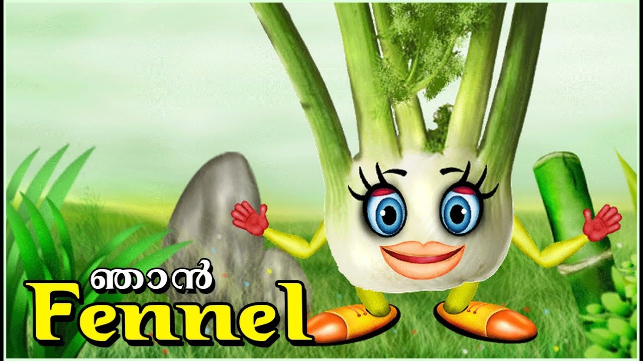 The Speaking "Fennel" Malayalam Kids Animation YouTube