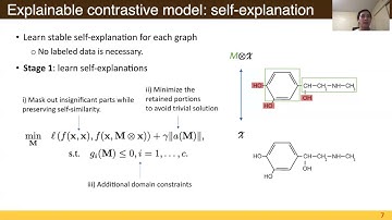 ICDM 2021 Self-learn to Explain Siamese Networks Robustly