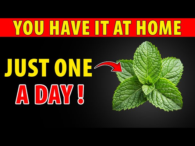 MIRACLE! 1 Leaf DESTROYS DIABETES, Bad Cholesterol and FAT BELLY! | Senior Health