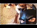 BatDad Vine Compilation 9